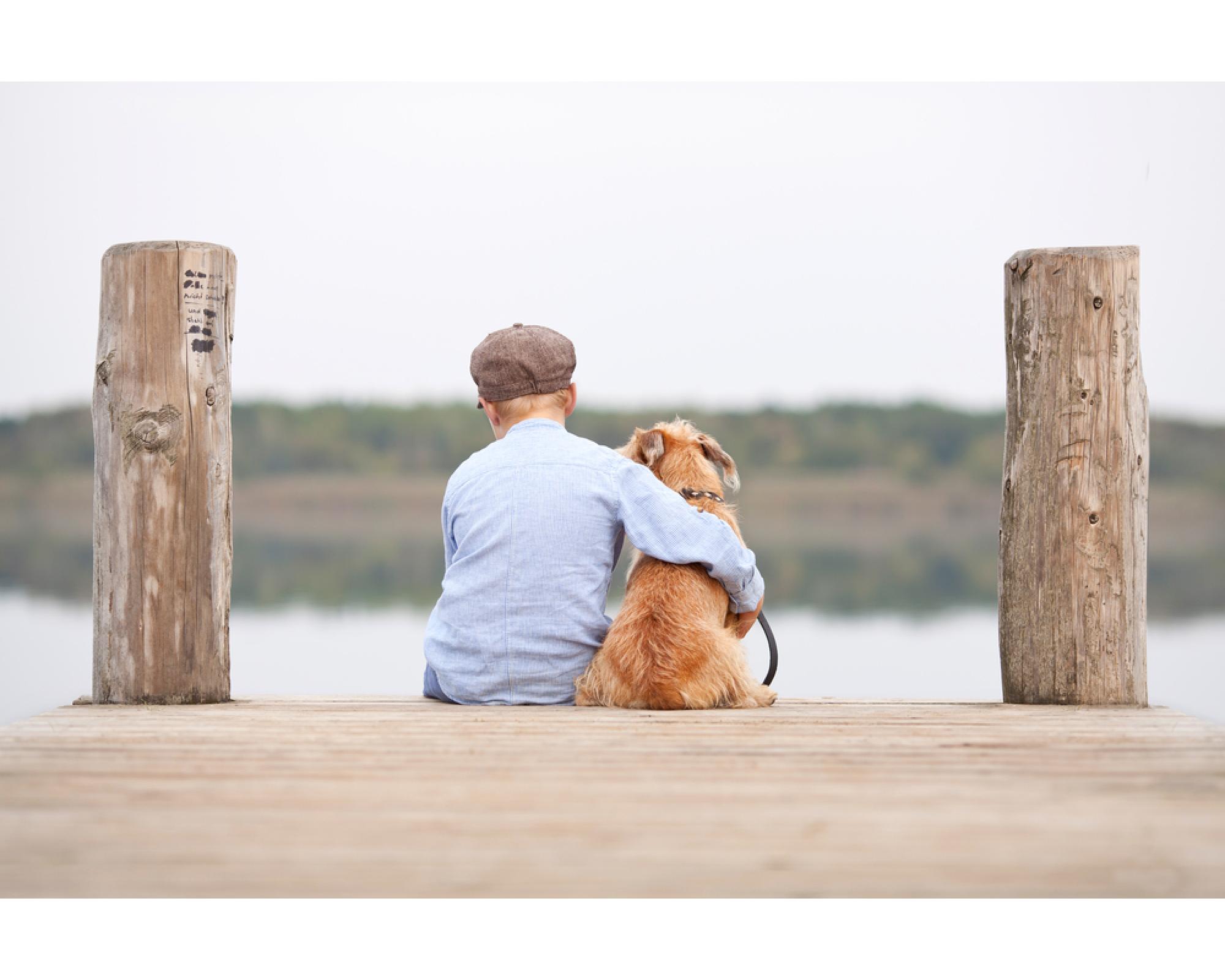 vacanza con cane lago garda